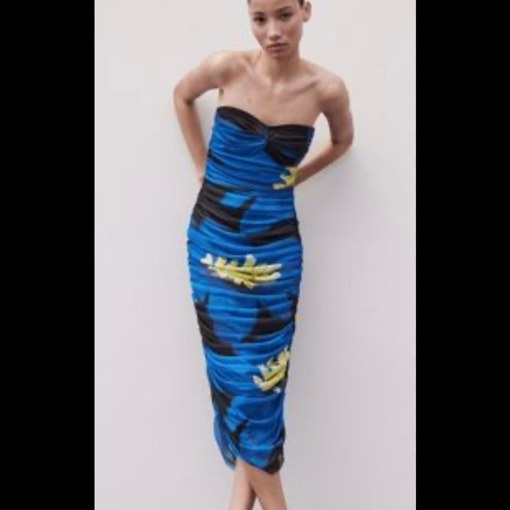 Zara Strapless Printed Tulle Dress Blue Multi